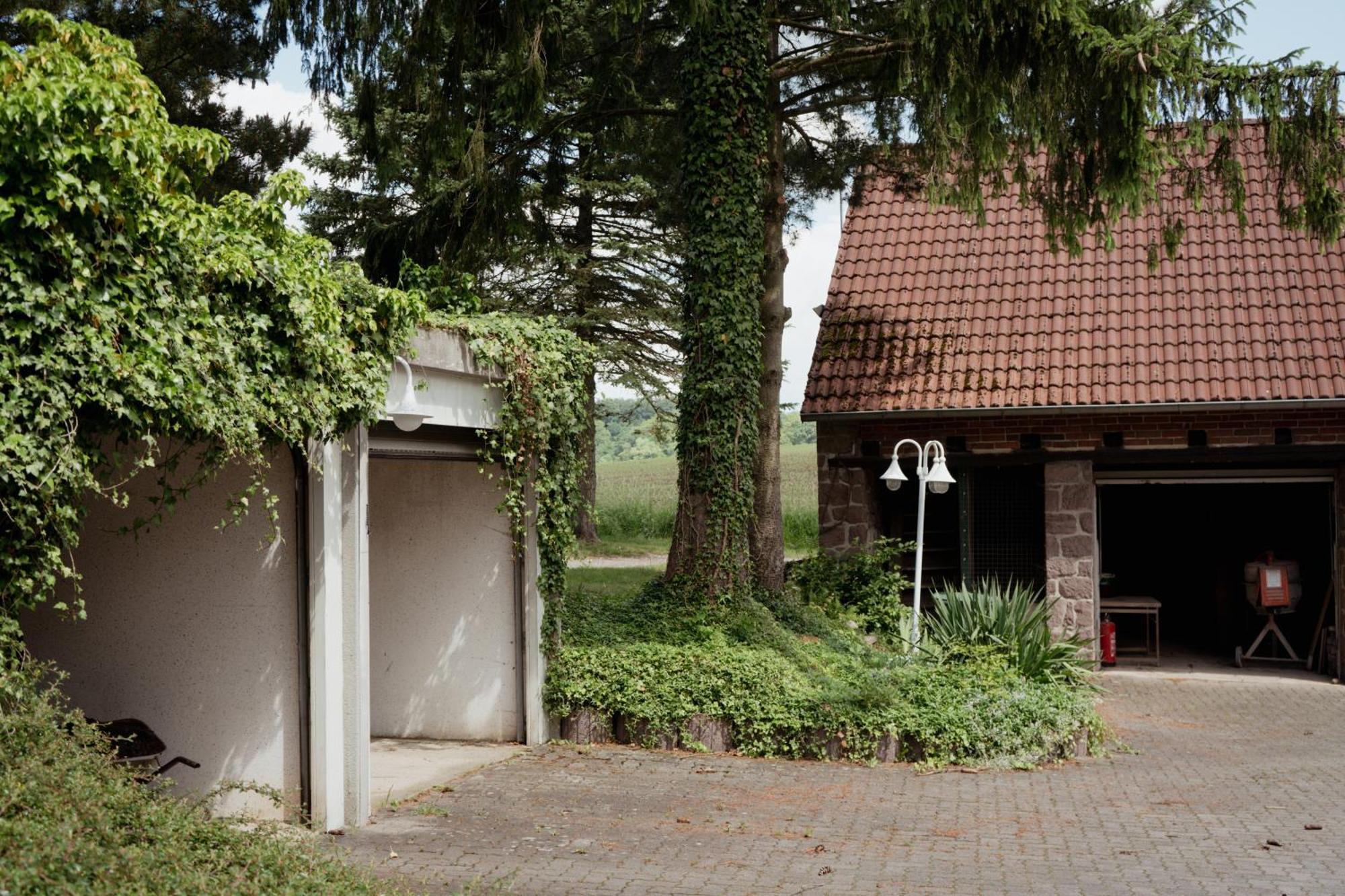 Idyllische Ferienwohnung Im Kalletal Εξωτερικό φωτογραφία